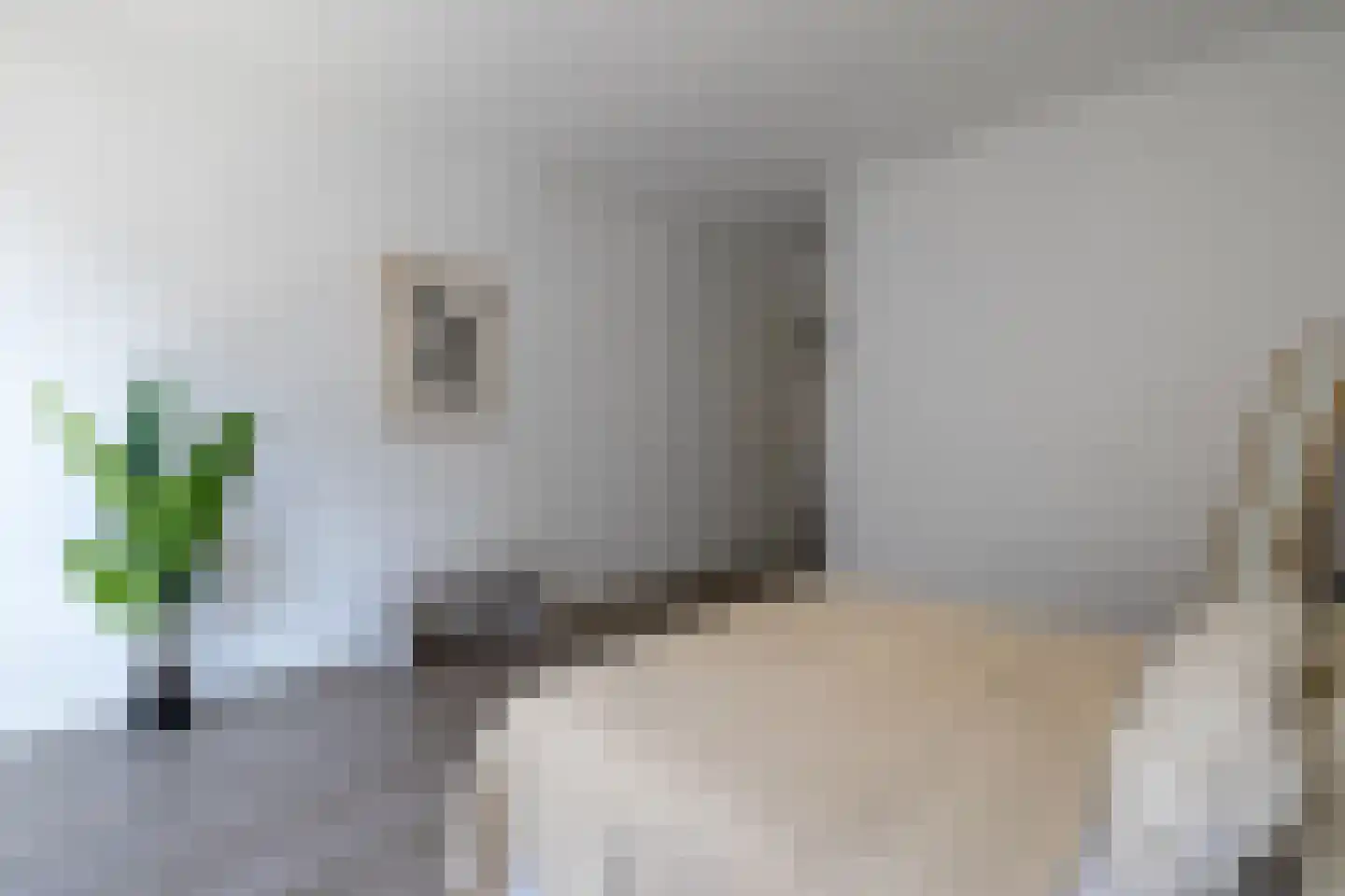 Polanenstraat 15 G Rotterdam thumbnail 16
