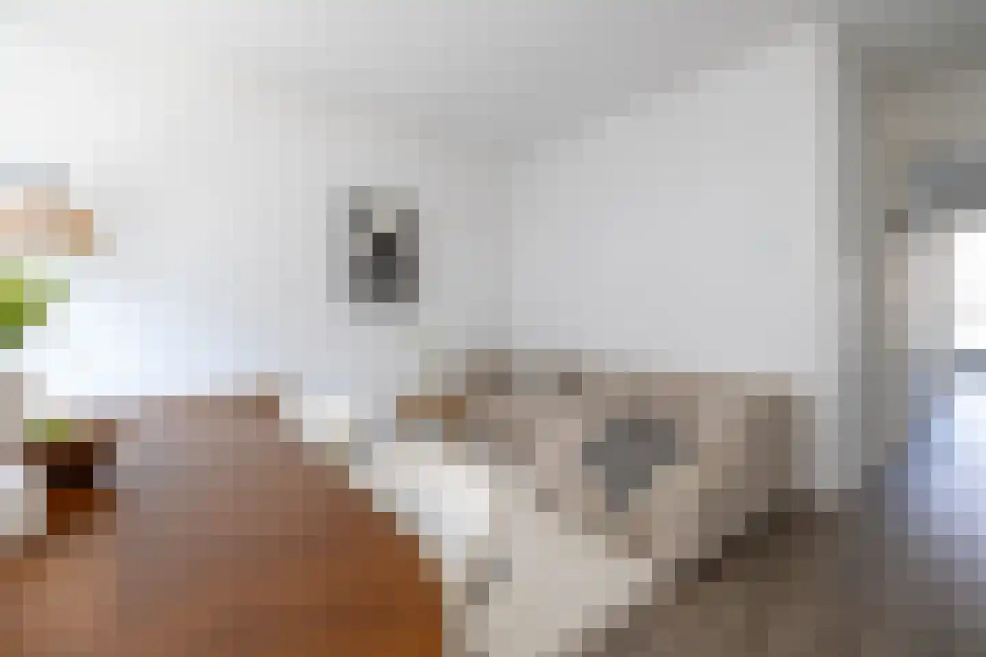Polanenstraat 15 G Rotterdam thumbnail 7