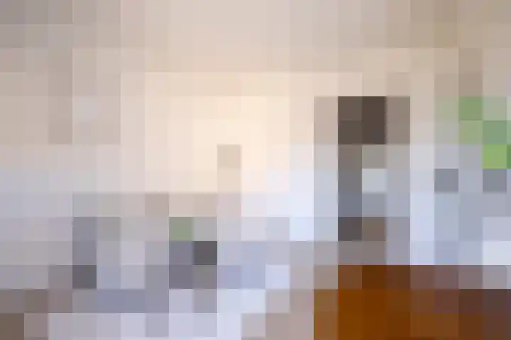 Polanenstraat 17 B 01 Rotterdam thumbnail 5