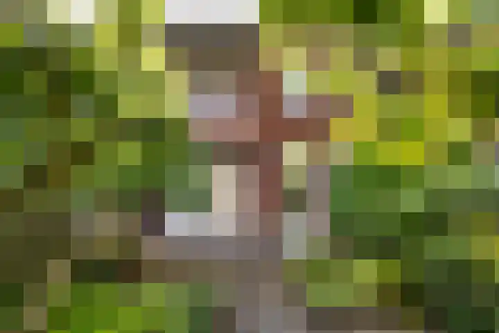 Polanenstraat 17 Halfweg thumbnail 12