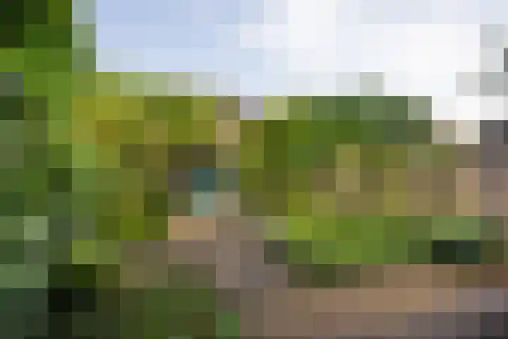 Polanenstraat 17 Halfweg thumbnail 14