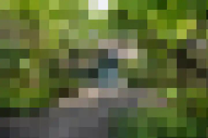 Polanenstraat 17 Halfweg thumbnail 15