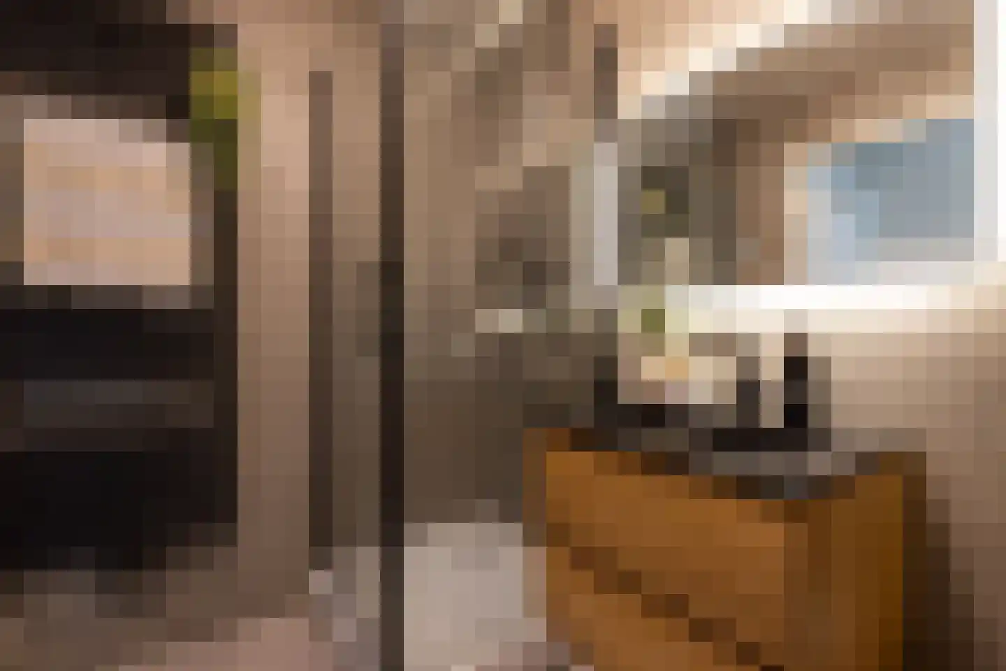 Polanenstraat 19 A 04 Rotterdam thumbnail 5