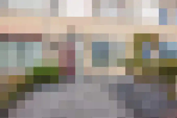 Polanenstraat 19 Geertruidenberg thumbnail 11