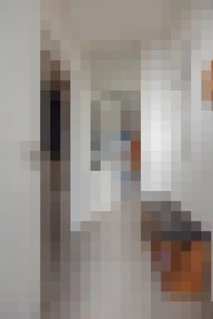 Polanenstraat 19 Geertruidenberg thumbnail 13