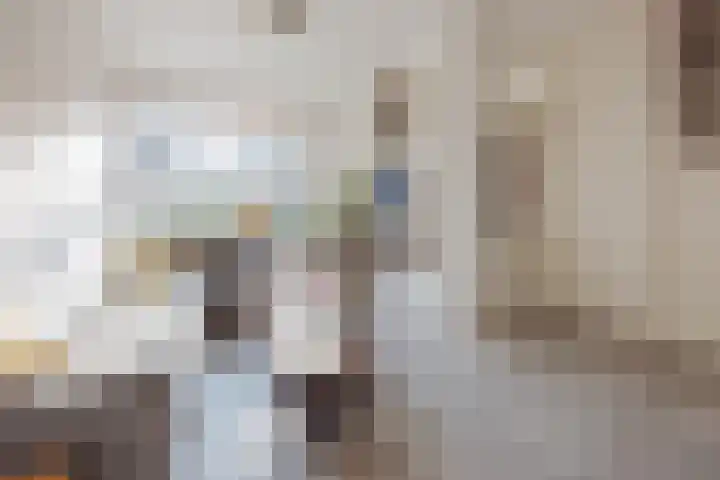 Polanenstraat 19 Geertruidenberg thumbnail 17