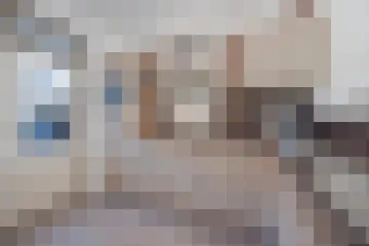 Polanenstraat 19 Geertruidenberg thumbnail 21