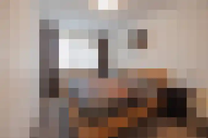 Polanenstraat 19 Geertruidenberg thumbnail 4