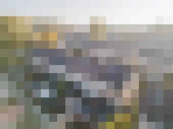 Polanenstraat 19 Geertruidenberg thumbnail 8