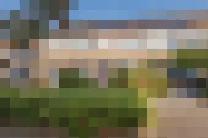 Polanenstraat 19 Geertruidenberg thumbnail 9