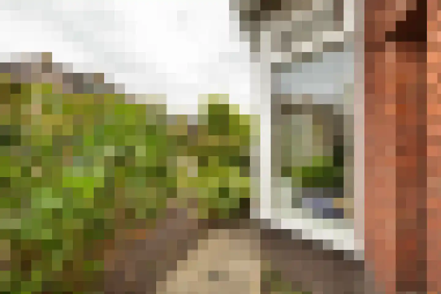 Polanenstraat 24 Halfweg thumbnail 29