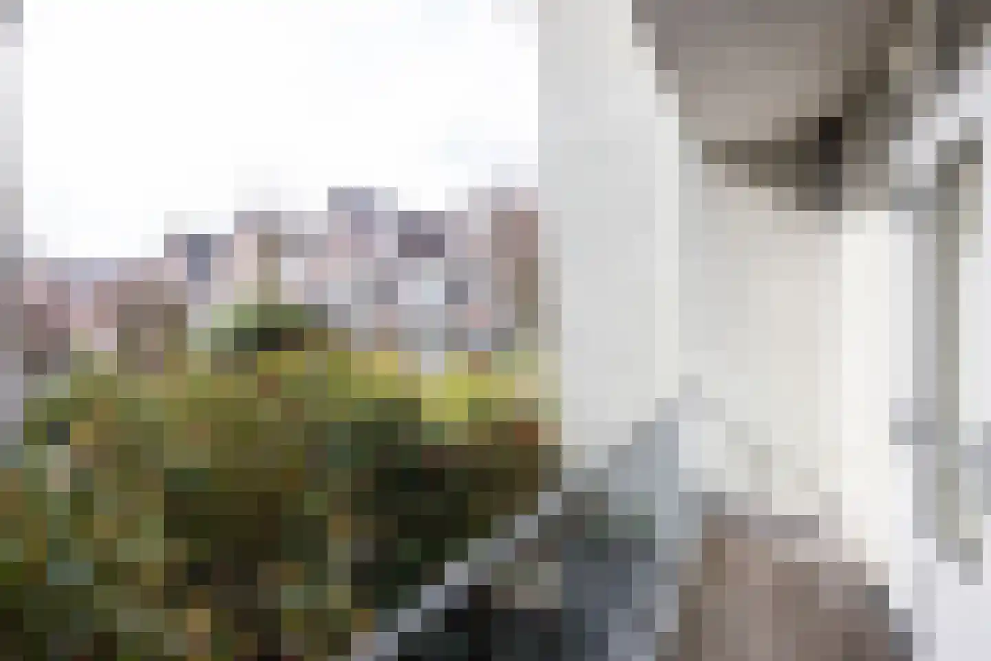 Polanenstraat 38 B 02 Rotterdam thumbnail 15