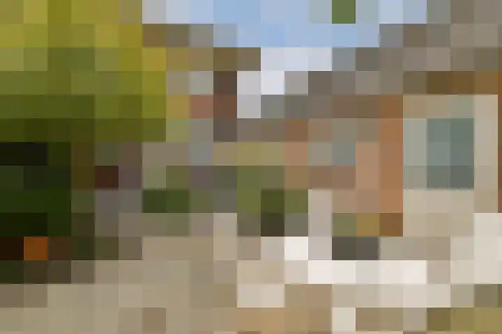 Polanenstraat 5 Halfweg thumbnail 10