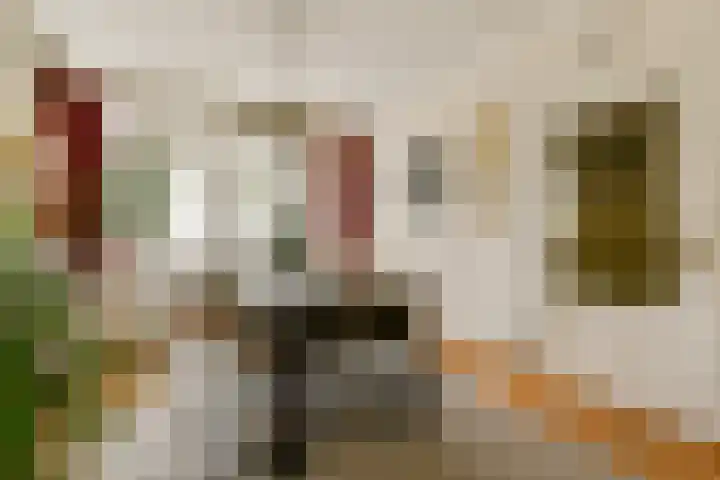 Polanenstraat 5 Halfweg thumbnail 17