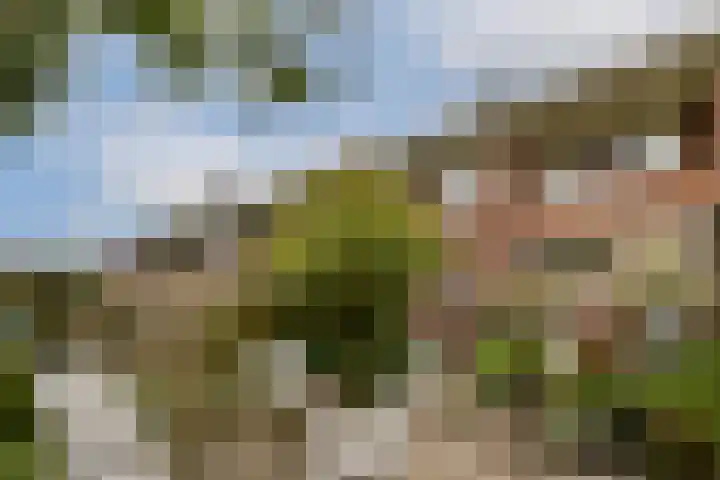 Polanenstraat 5 Halfweg thumbnail 22