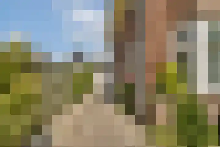 Polanenstraat 5 Halfweg thumbnail 4