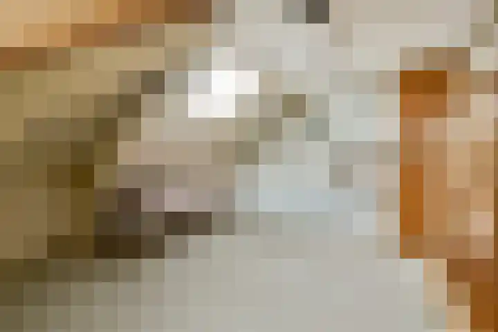 Polanenstraat 5 Halfweg thumbnail 40
