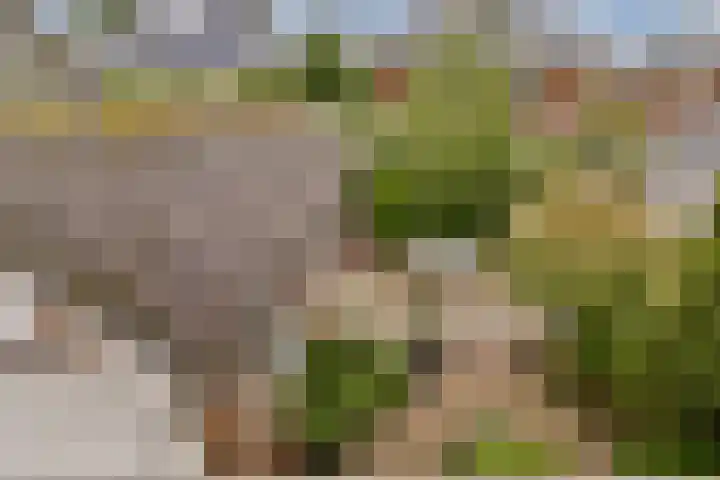 Polanenstraat 5 Halfweg thumbnail 41