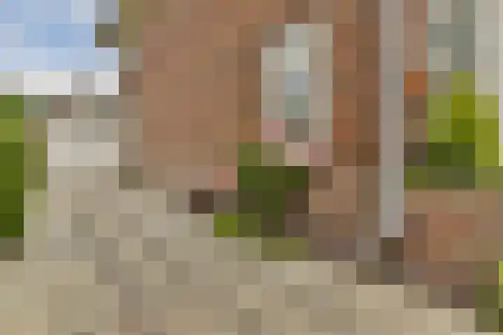 Polanenstraat 5 Halfweg thumbnail 43