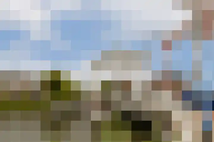 Polanenstraat 5 Halfweg thumbnail 46
