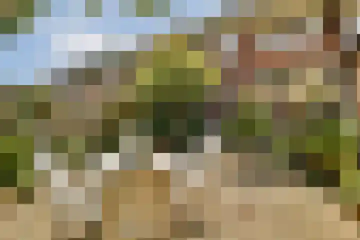 Polanenstraat 5 Halfweg thumbnail 5