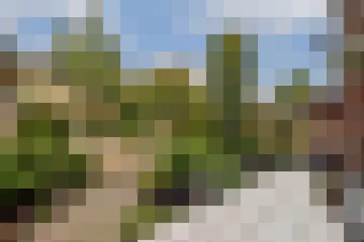 Polanenstraat 5 Halfweg thumbnail 6