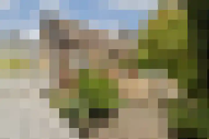 Polanenstraat 5 Halfweg thumbnail 7