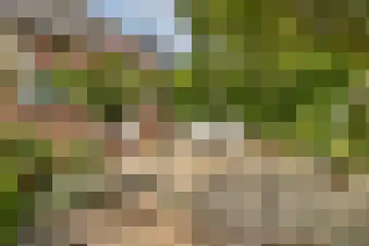 Polanenstraat 5 Halfweg thumbnail 8