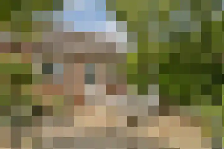 Polanenstraat 5 Halfweg thumbnail 9