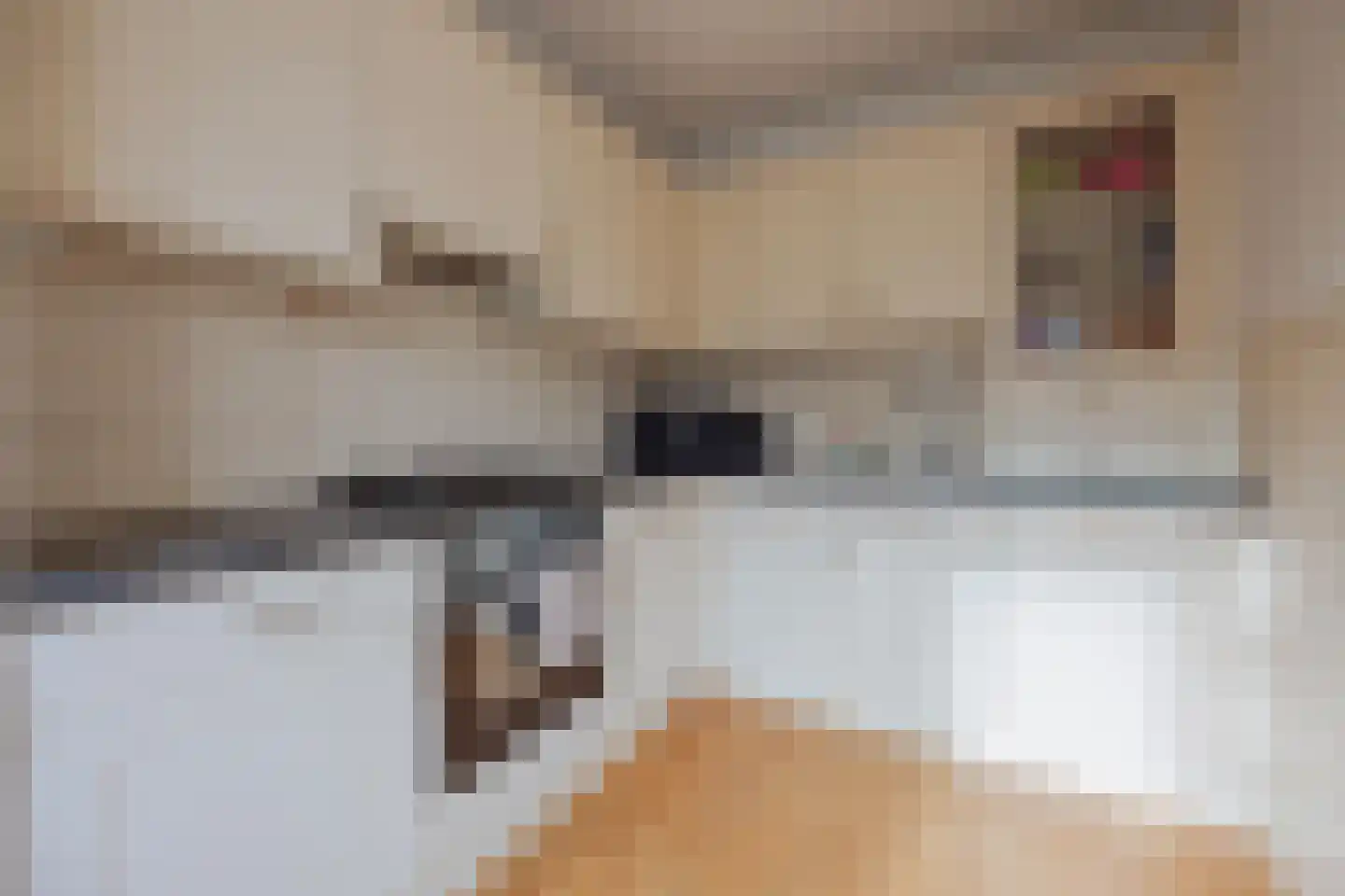 Polanenstraat 6 Geertruidenberg thumbnail 12