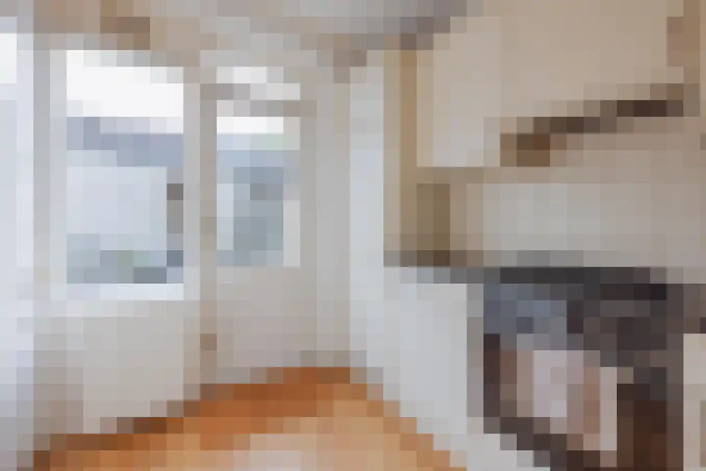 Polanenstraat 6 Geertruidenberg thumbnail 13