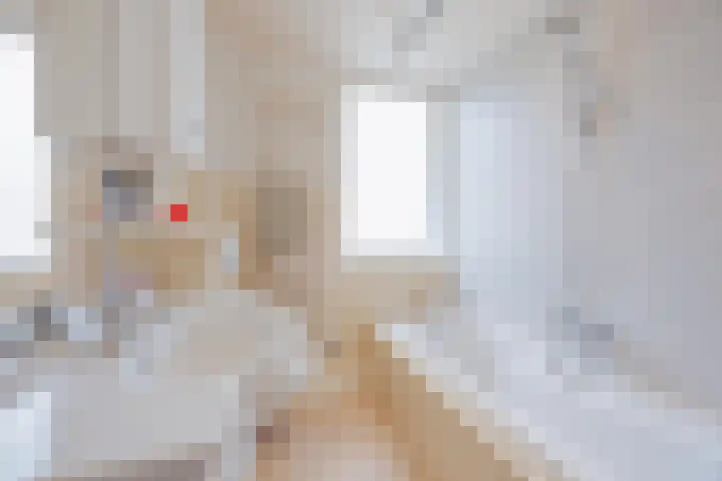 Polanenstraat 6 Geertruidenberg thumbnail 28