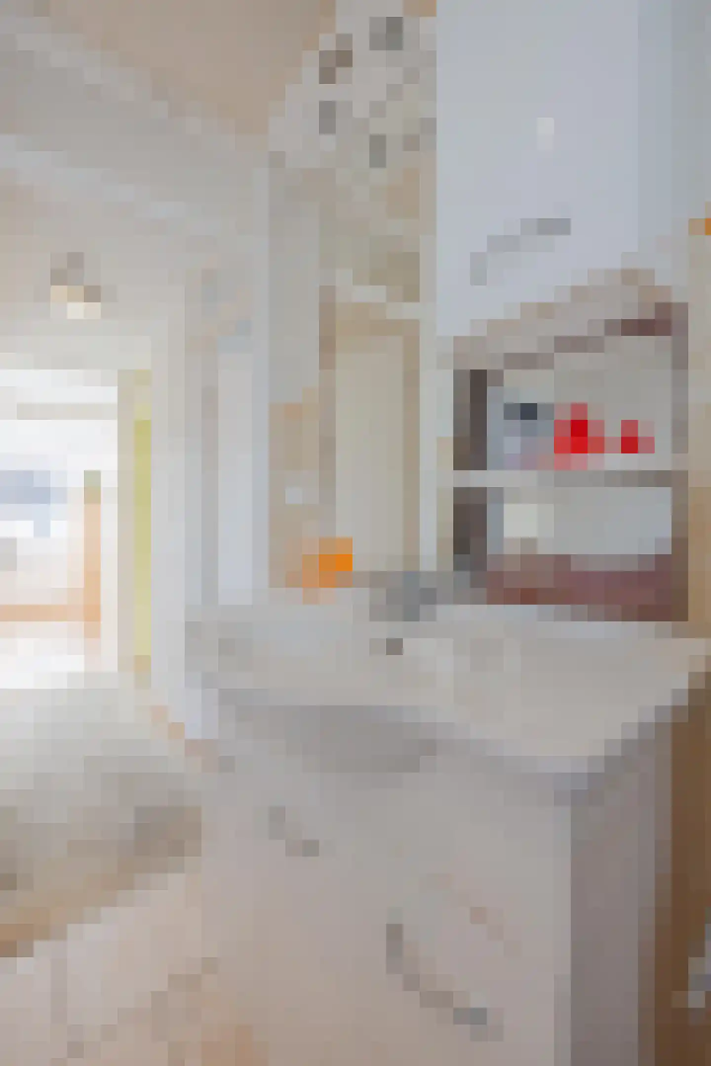 Polanenstraat 6 Geertruidenberg thumbnail 30