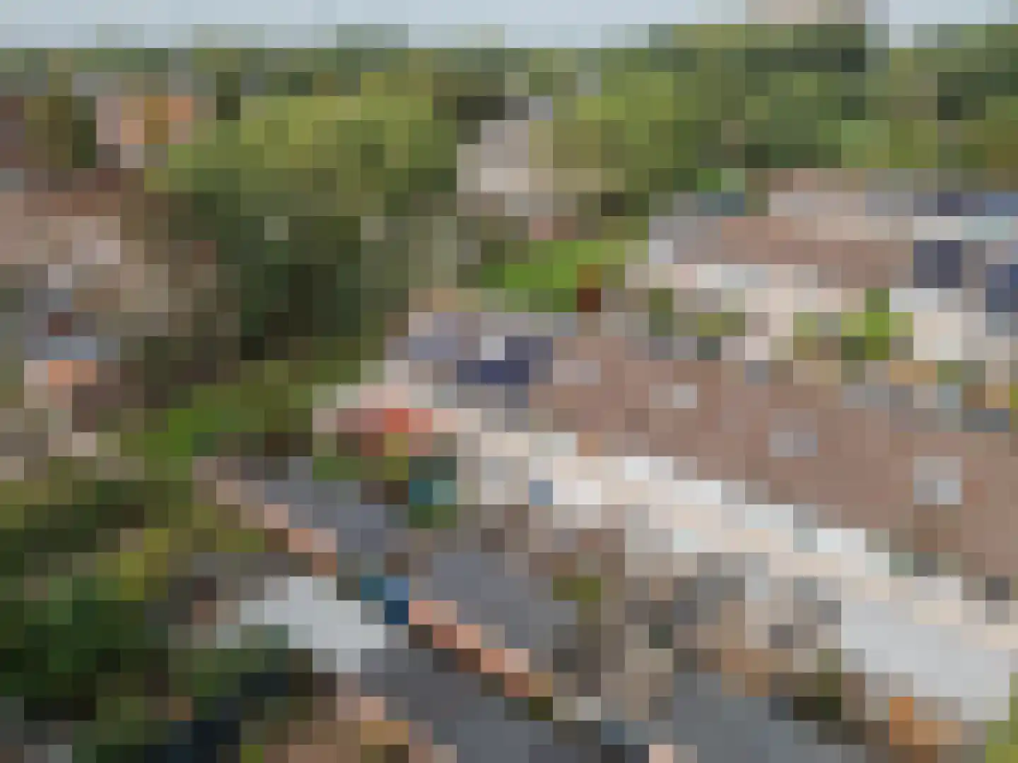 Polanenstraat 6 Geertruidenberg thumbnail 47