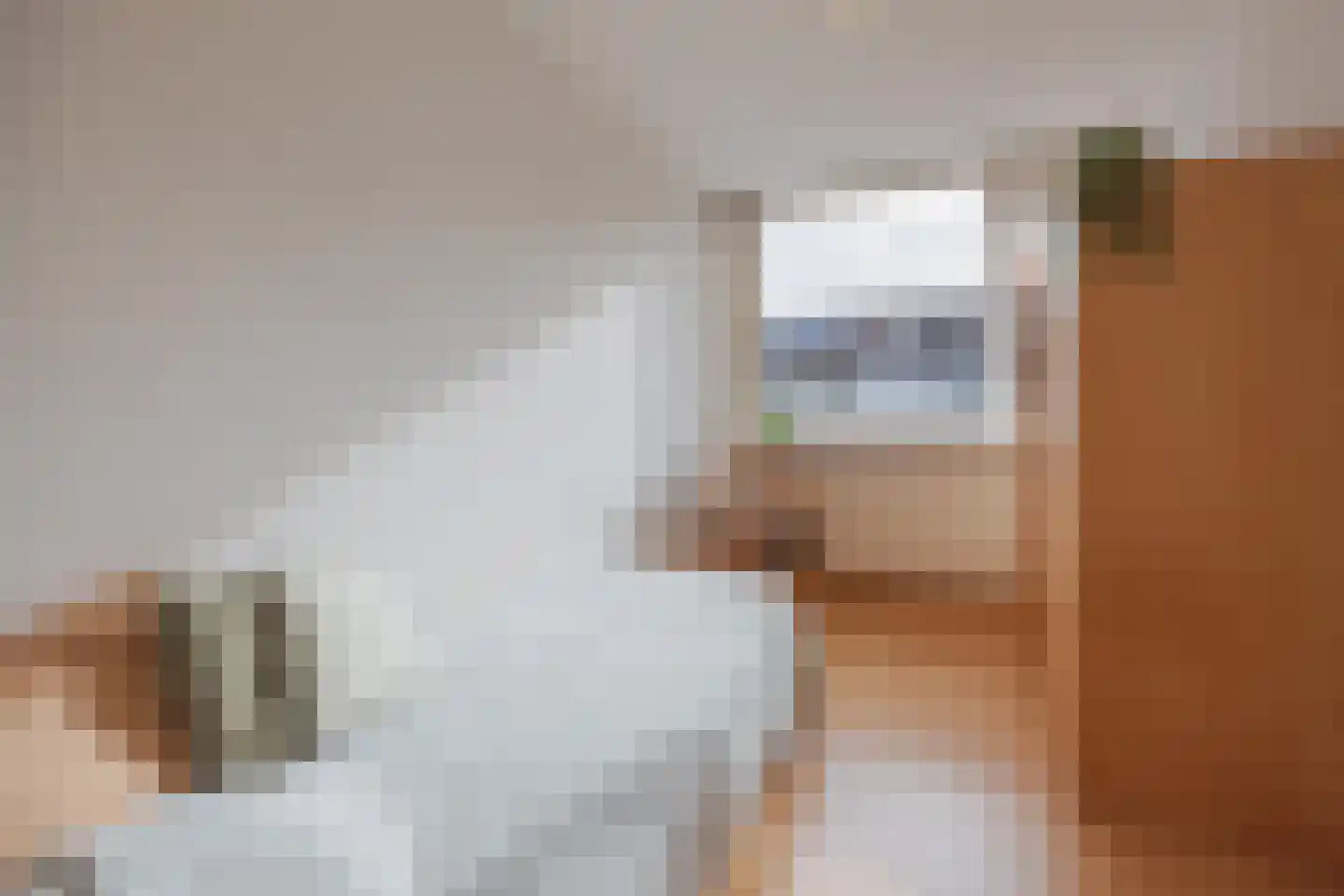 Polanenstraat 6 Geertruidenberg thumbnail 8