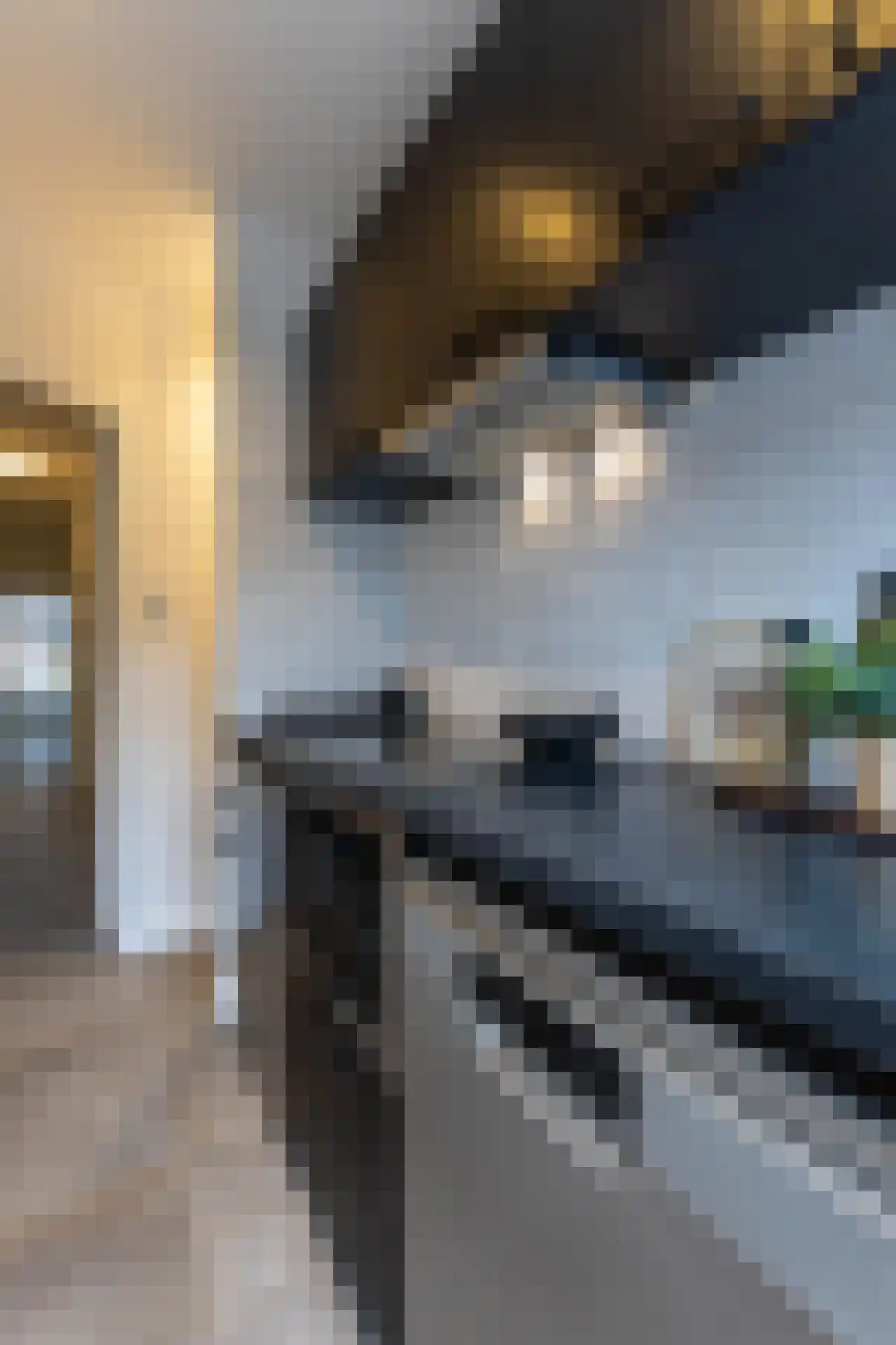 Polanenstraat 9 02 Rotterdam thumbnail 8