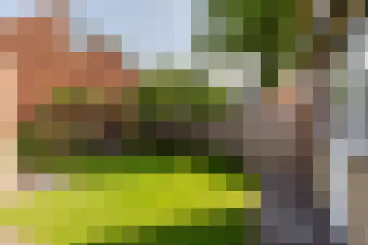 Polaris 29 Puttershoek thumbnail 37