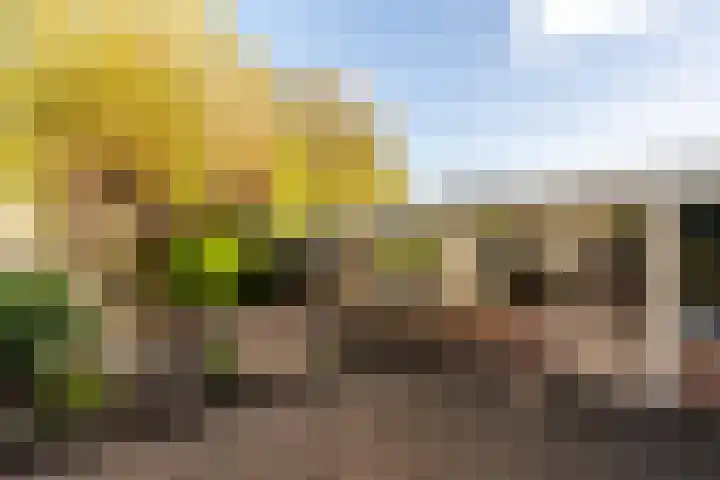 Polarisstraat 10 Rockanje thumbnail 31