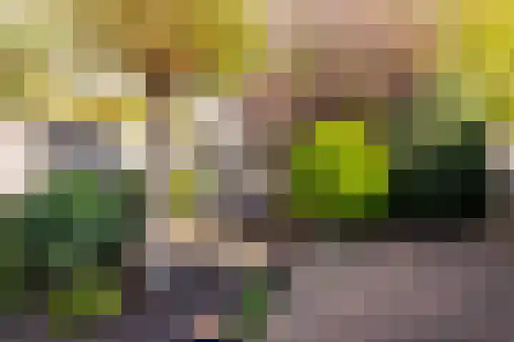 Polarisstraat 10 Rockanje thumbnail 32