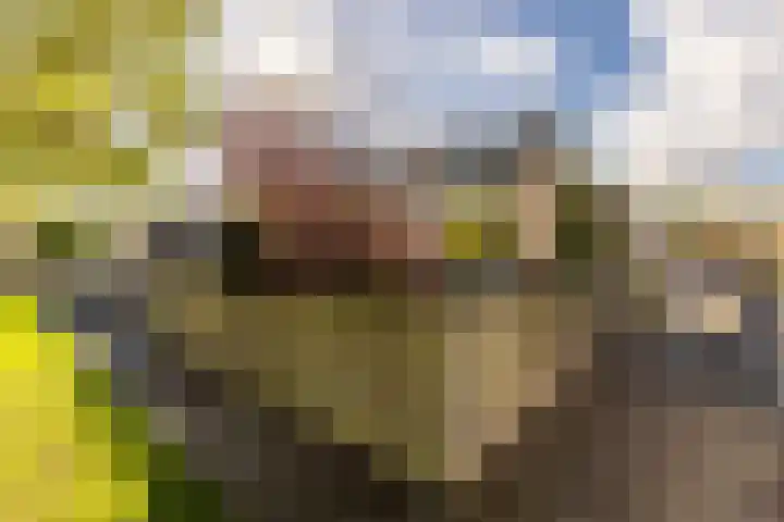 Polarisstraat 10 Rockanje thumbnail 33