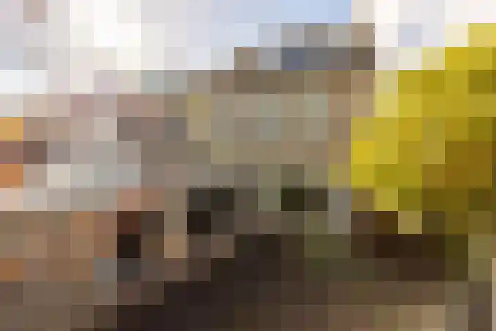 Polarisstraat 10 Rockanje thumbnail 4