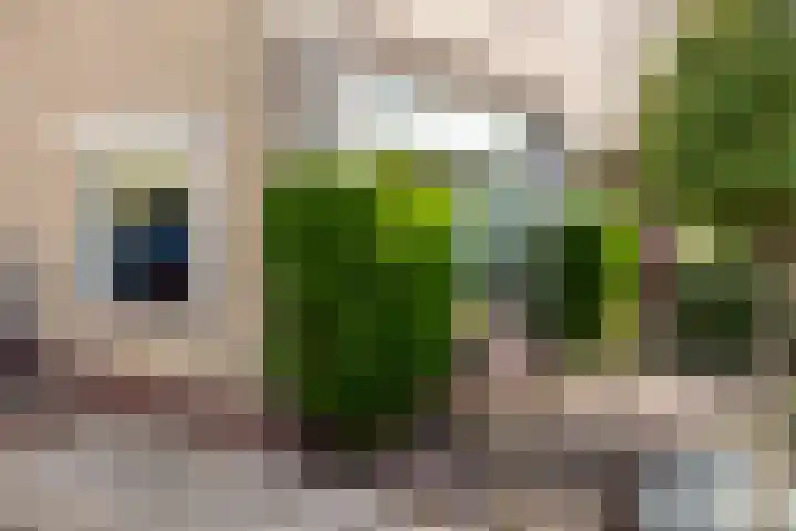 Polarisstraat 10 Rockanje thumbnail 8