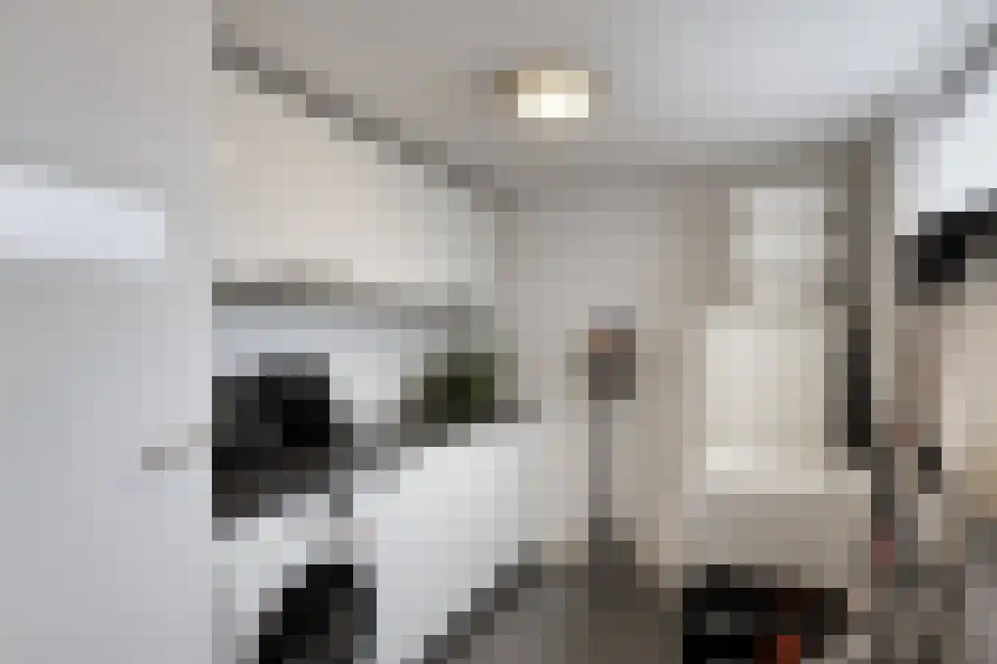 Polarisstraat 12 Rockanje thumbnail 17