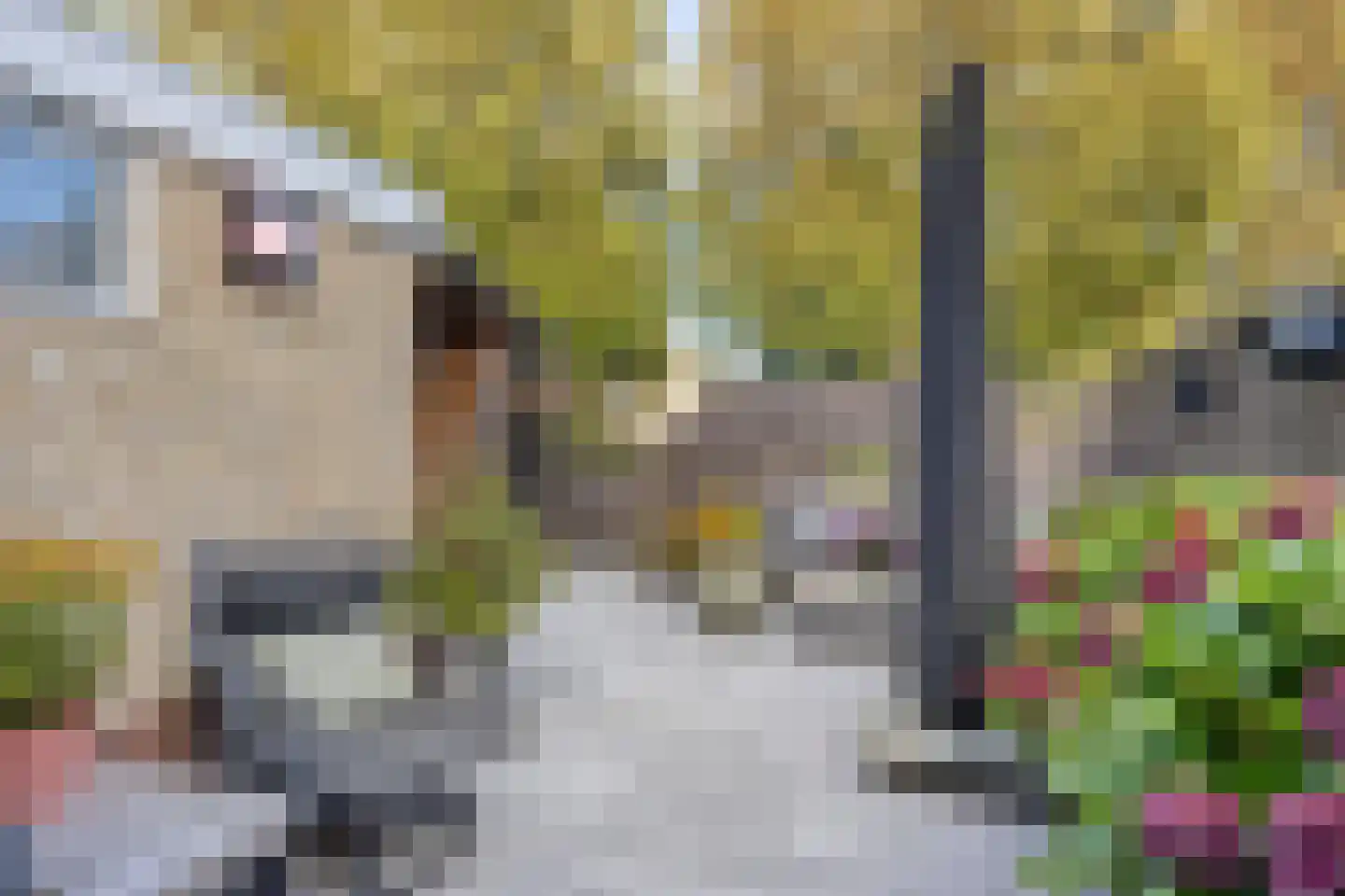 Polarisstraat 12 Rockanje thumbnail 18