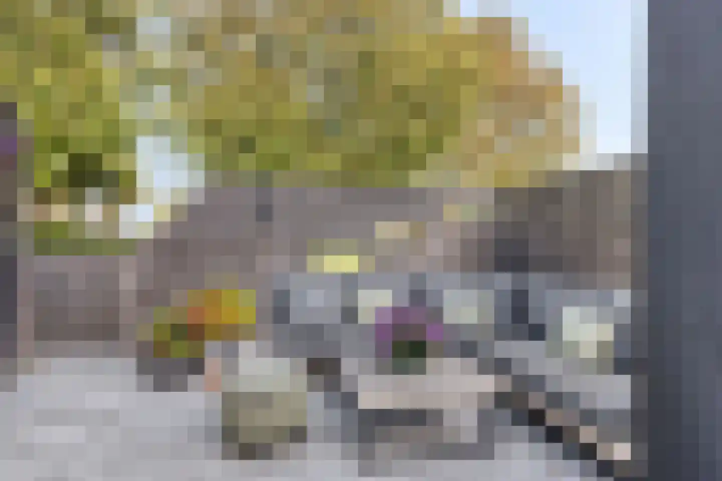 Polarisstraat 12 Rockanje thumbnail 19