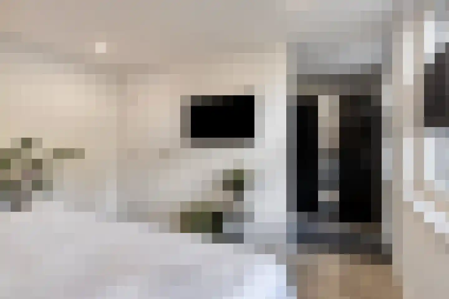 Polarisstraat 12 Rockanje thumbnail 26