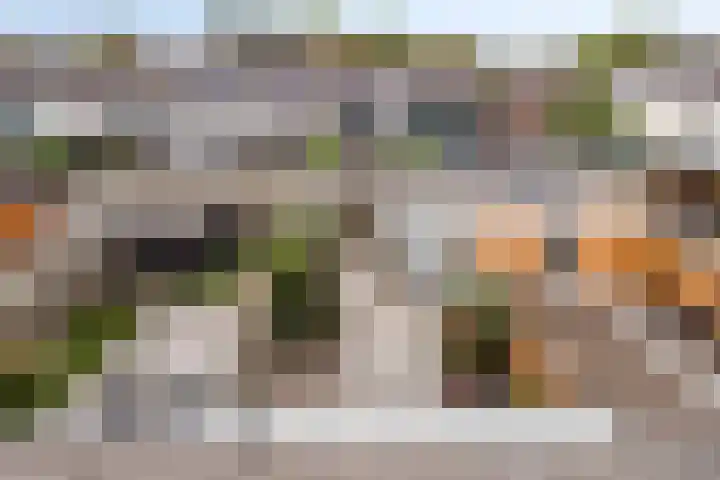 Polarisstraat 3 Rockanje thumbnail 21