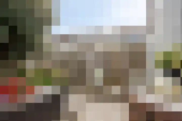 Polarisstraat 3 Rockanje thumbnail 24