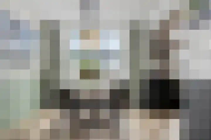 Polarisstraat 3 Rockanje thumbnail 8