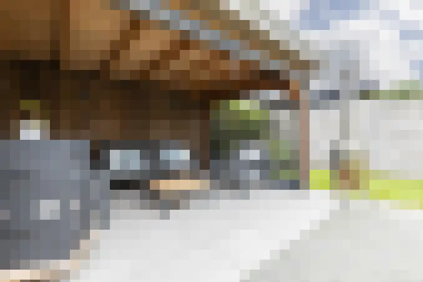 Polarisstraat 34 Zuidhorn thumbnail 47